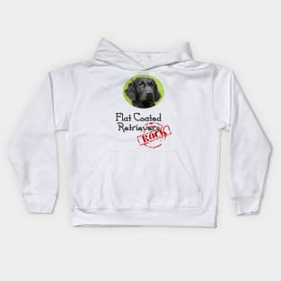 Flat Coated Retrievers Rock! Kids Hoodie